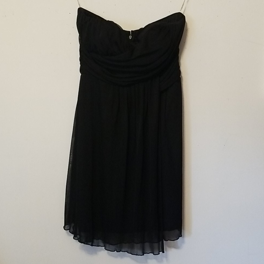 Alyn Paige Strapless Dress